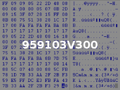 959103V300