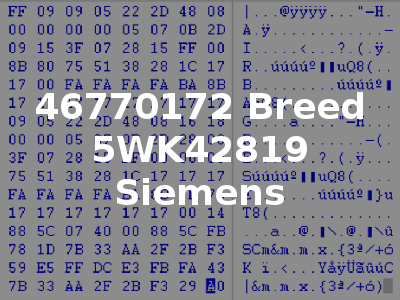 46770172 Breed 5WK42819 Siemens