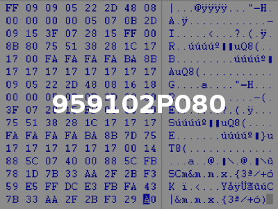 959102P080