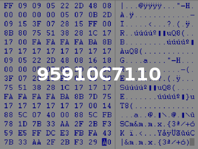 95910C7110