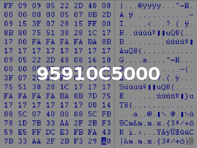 95910C5000