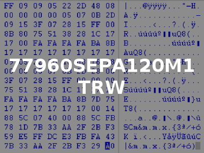 77960SEPA120M1 TRW