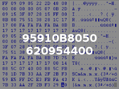 95910B8050 620954400