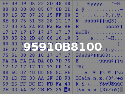 95910B8100