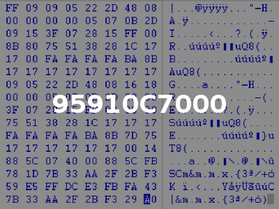 95910C7000