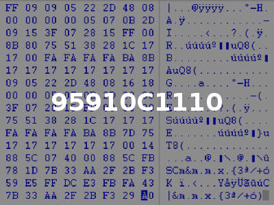 95910C1110