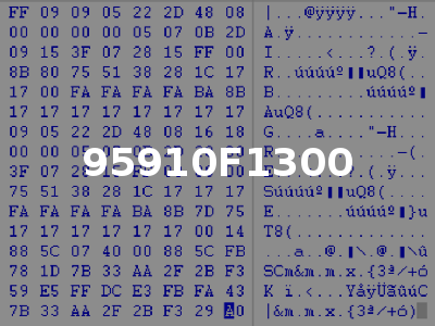 95910F1300