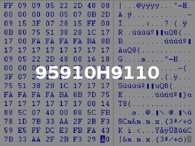95910H9110