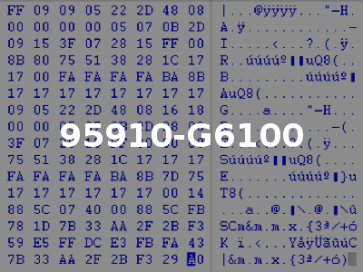 95910-G6100