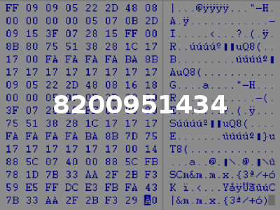 8200951434