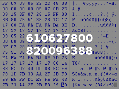 610627800 820096388