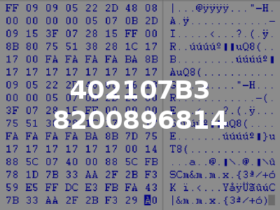 402107B3 8200896814