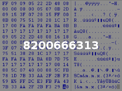 8200666313
