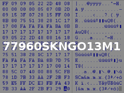 77960SKNGO13M1