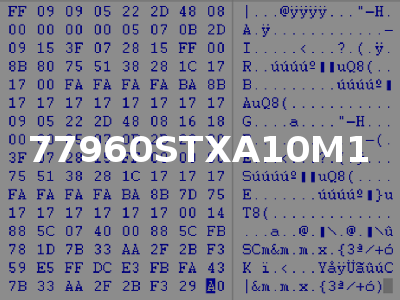 77960STXA10M1