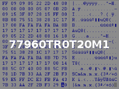 77960TR0T20M1