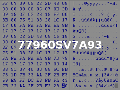 77960SV7A93