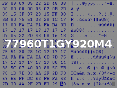 77960T1GY920M4