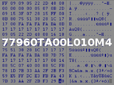 77960TA00L010M4