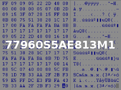 77960S5AE813M1