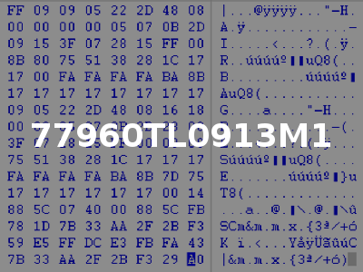 77960TL0913M1