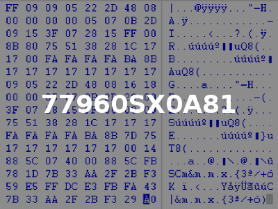 77960SX0A81