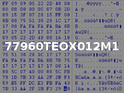 77960TEOX012M1