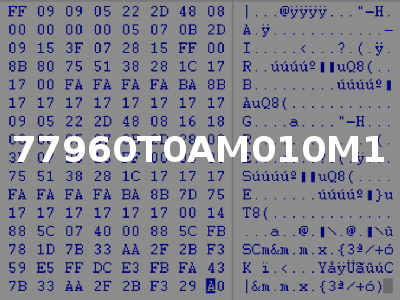 77960T0AM010M1