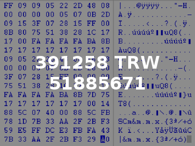 391258 TRW 51885671