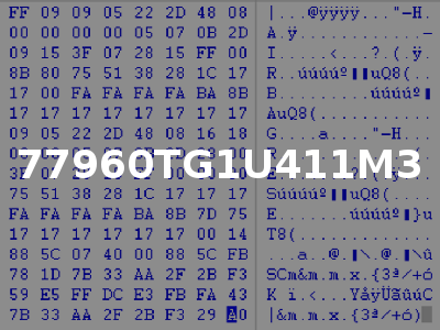 77960TG1U411M3