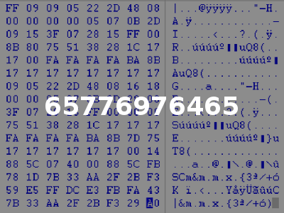 65776976465