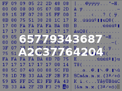 65779343687 A2C37764204