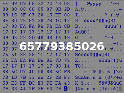 65779385026