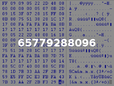 65779288096