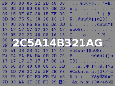 2C5A14B321AG