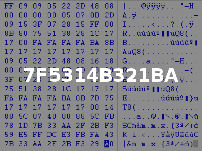 7F5314B321BA