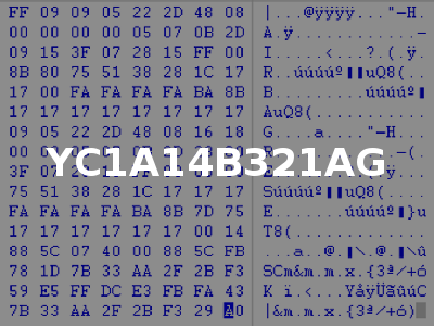 YC1A14B321AG