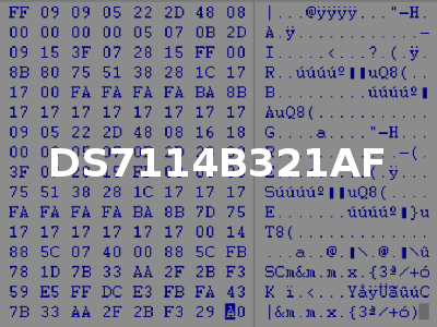 DS7114B321AF