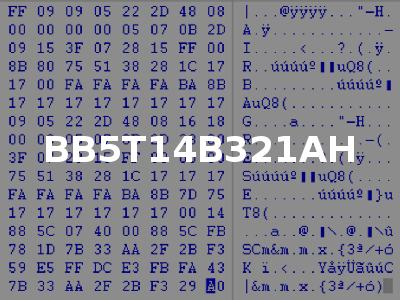 BB5T14B321AH