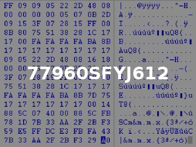 77960SFYJ612