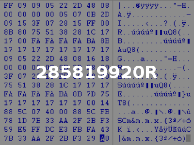 285819920R