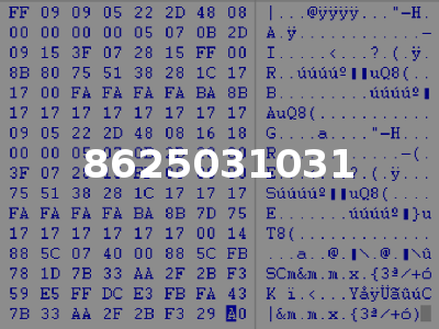 8625031031
