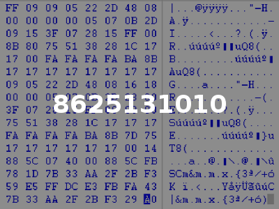 8625131010