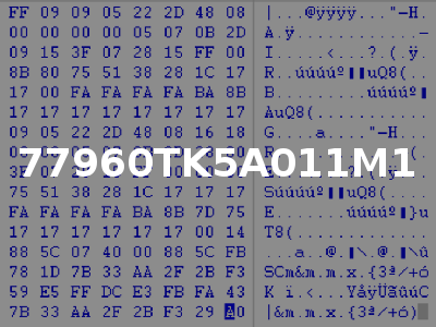 77960TK5A011M1