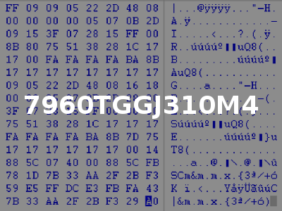 7960TGGJ310M4