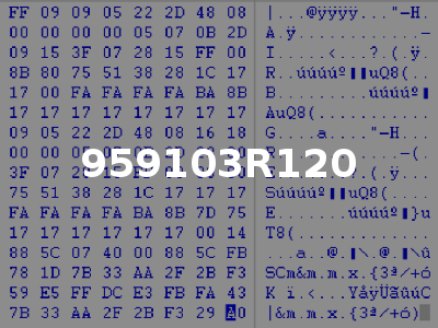 959103R120