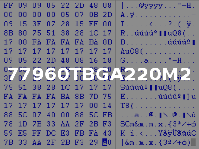 77960TBGA220M2