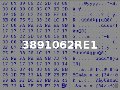 3891062RE1