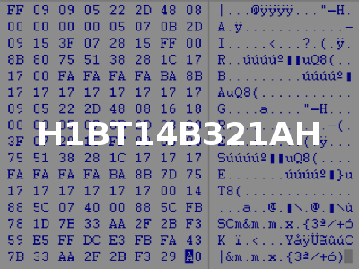 H1BT14B321AH