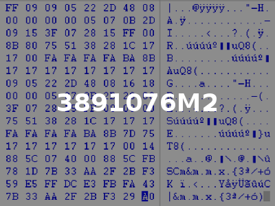 3891076M2